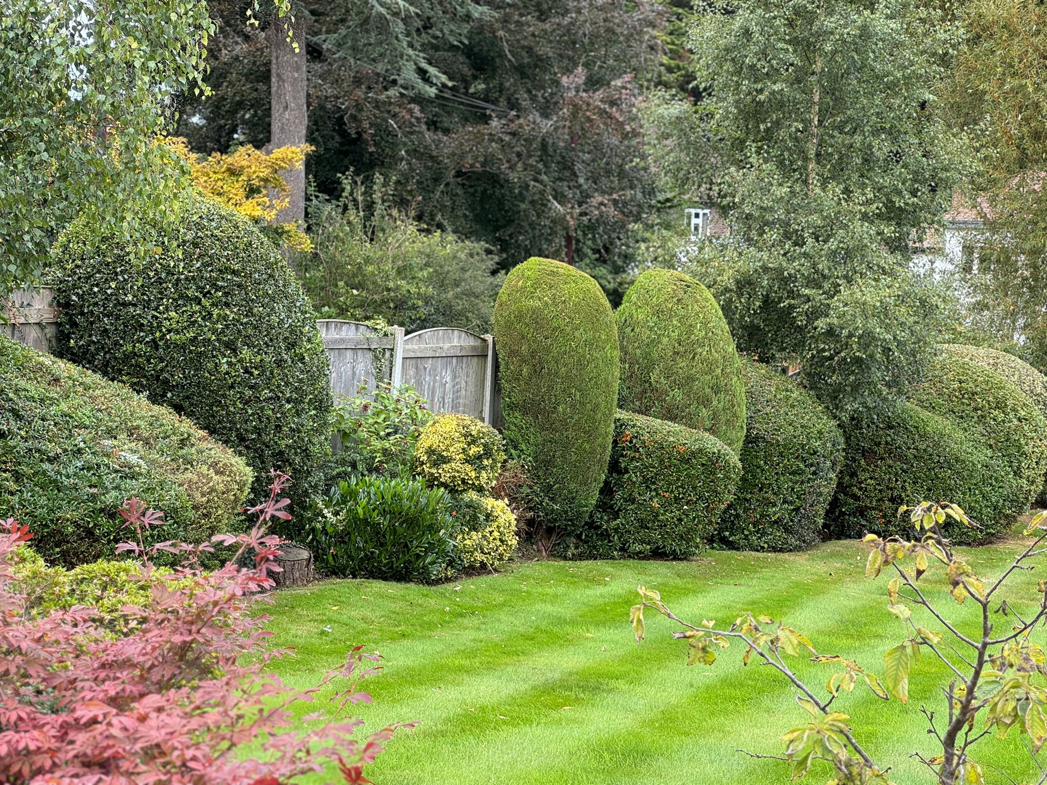 Garden Maintenance